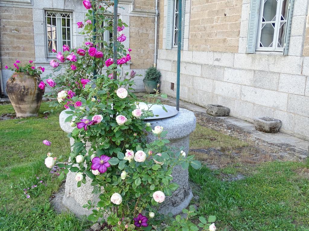 Chateau De Crocq - Chambres D'Hotes De Charme Exteriér fotografie